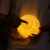 The perseids Vollmond Lampe 3D LED Nacht Moderne Stehlampe Dimmbar Touch Control Helligkeit USB Wiederaufladbare Tischlampe Buchlampe Kinderzimmerlampe 3 Farbe Wählbar Touch-Schalter Licht Luna Mondlampe Mit Holzständer für Schlafzimmer Cafe Bar Esszimmer(15CM/5.9Inch) - 2