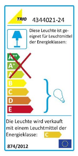 Trio Leuchten 4344021-24 Halogen-Fluter 1xR7S 230W mit Leseleuchte 28W G9, einzeln dimmbar, Höhe: 180cm, rostfarbig - 4